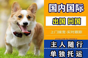 西安宠物托运公司西安宠物托运公司西安宠物托运公司