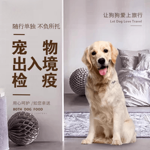 西安宠物托运到哥伦比亚猫狗宠物入境规定和