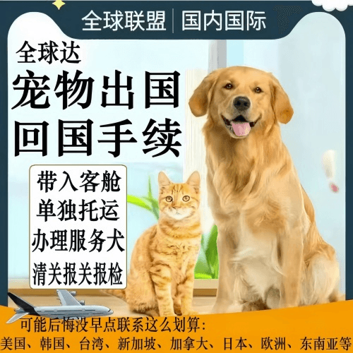 西安宠物托运到柬埔寨宠物入境规定和要求